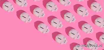 Nederlandse startups halen 5 miljard euro op in 2021 - MT/Sprout