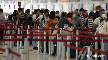 Domestic travel vaccine mandate back in spotlight