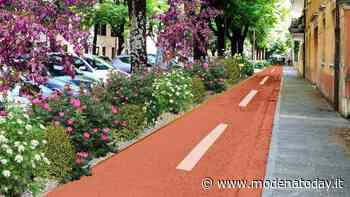 Ciclabile in viale Carducci a Carpi, approvato progetto di riqualificazione - ModenaToday