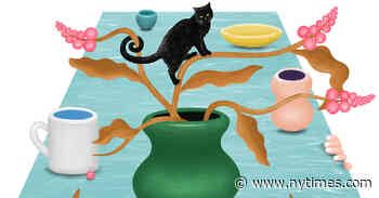 At Home and Away Readers’ Best of 2021