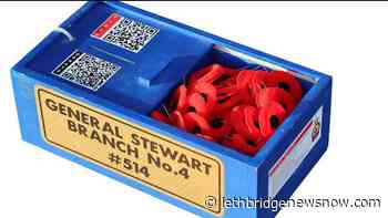 Lethbridge Legion's poppy campaign raises over $93000 for veterans - Lethbridge News Now