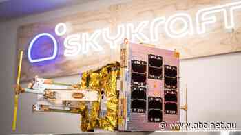 'We're going global from Canberra': Company prepares to launch satellites on SpaceX rocket