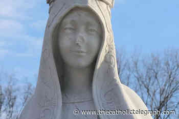 Man attacks DC basilica's Our Lady of Fatima statue by cutting off hands, hammering face - thecatholictelegraph.com