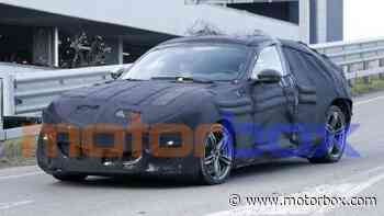 Foto spia | Ferrari Purosangue, il SUV del Cavallino Rampante va al trotto - Motorbox