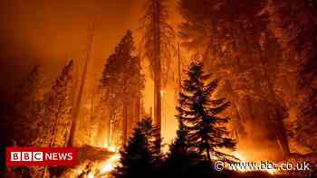 Climate change: Storm clouds gather after COP26