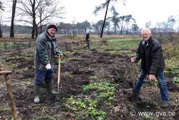 Natuurpunt plant vijfhonderd nieuwe bomen in Zwart Goor - Gazet van Antwerpen