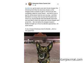 Edmonton police yank canine unit's post celebrating arrest of naked man at hardware store