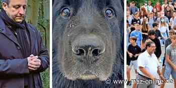 Jahresrückblick: Das war 2021 in Teltow, Kleinmachnow und Stahnsdorf - Märkische Allgemeine Zeitung