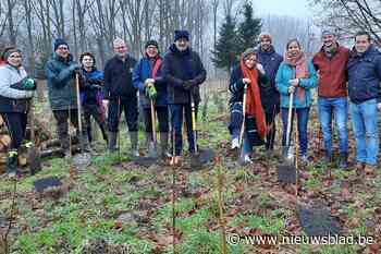 Natuurpunt realiseert nieuw bos aan Paddebroeken (Merchtem) - Het Nieuwsblad