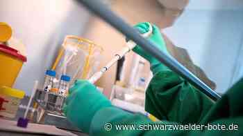 Zahlen aktuell aufbereitet - Gesundheitsamt Calw arbeitet auch an Feiertagen - Schwarzwälder Bote