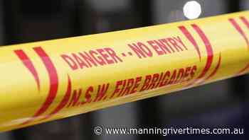 Turtle rescued after NSW balcony fall - Manning River Times