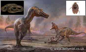 Natural History Museum describes over 550 new species in 2021