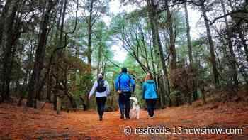 Virginia State Parks to offer First Day Hikes on New Year's Day