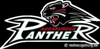 AEV gewinnt gegen Straubing - Radio Augsburg