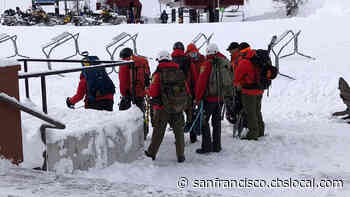 Sierra Storm: Bear Tracks Mistaken For Trail Left By Missing Tahoe Skier - CBS San Francisco
