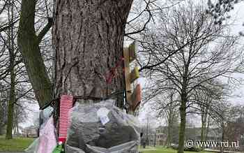 Harderwijkse hangt jassen in de boom - Reformatorisch Dagblad