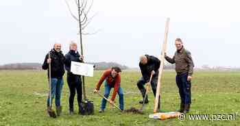 Veehoudersfamilie De Hoop plant een sta-in-de-weg boom met een missie - PZC