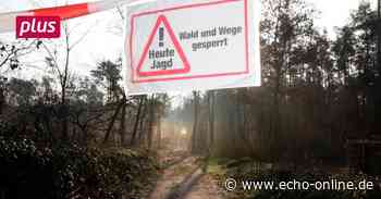 Wenn Wildschweine zwischen Raunheim und Rüsselsheim pendeln - Echo Online