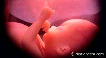 Recuerdan a niños abortados durante Día de los Santos Inocentes - Diario Basta!