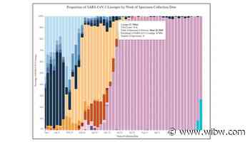 Delta still dominates, but Omicron growing among Kansas COVID cases - WIBW