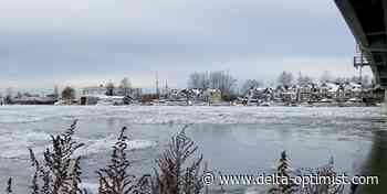 Ice chunks spotted floating in Fraser River from Richmond - Delta-Optimist
