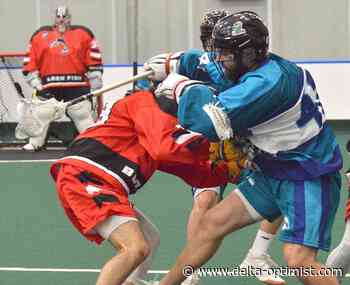 Delta lacrosse talent thriving in new Arena Lacrosse League - Delta-Optimist