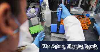 ‘Not the same disease’: top Oxford scientist says Omicron not deadly like Delta - Sydney Morning Herald