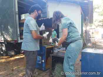 Zoológico de Rio Preto transfere sete animais para Cotia - DHoje Interior