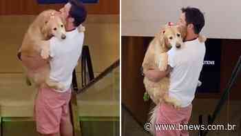 Cadela com medo de escada rolante viraliza na internet e encanta internautas; assista - BNews