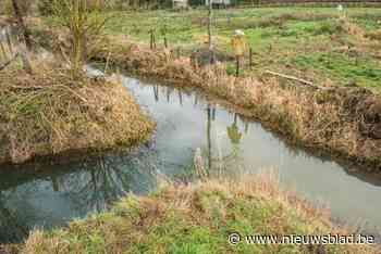 Provincie pakt drie kleine waterlopen aan in Grote Getevallei - Het Nieuwsblad
