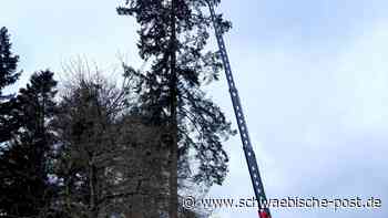 Ein Fällkran bereichert den Maschinenpark - Schwäbische Post
