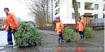 So werden Sie in Stadt und Landkreis Hildesheim Ihre Tannenbäume los - www.hildesheimer-allgemeine.de