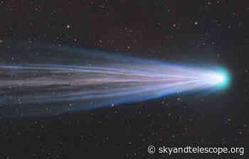 Comet Leonard: A Gift at Christmastime