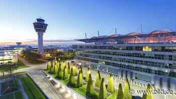 Am Flughafen: Mann wirft mit Steinen um sich - BILD