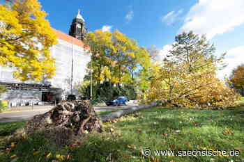 Dresden: "Es gehen Notrufe im Minutentakt ein" - Sächsische.de