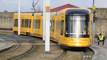 Neue Straßenbahn: Passt die Dicke eigentlich durch Dresden? - BILD