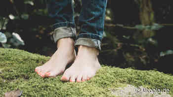 Digital Detox: 8 Tipps, um bewusst offline zu gehen - Utopia News