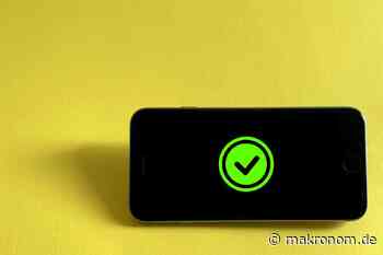 Auf dem Weg zu einem chancengleicheren digitalen Wettbewerb? - Makronom