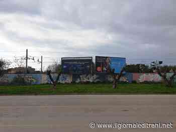 Trani, tre ulivi tagliati per mostrare i 6x3. Bottaro: «Non autorizzati» - ilgiornaleditrani - Radio Bombo