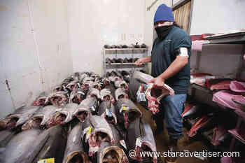 Stable supply, pricing are forecast for New Year’s ahi