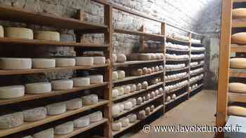 La Finarde (Arras) à Télématin sur France 2 - La Voix du Nord