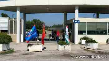 Brsi Bitritto, sospeso il trasferimento a Catania dei lavoratori: stop del giudice dopo il ricorso dei dipendenti - BariToday