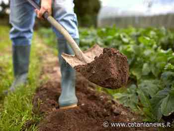 Catania, Cisl chiarisce alcuni aspetti del trattamento integrativo (ex bonus Renzi) - Catania News