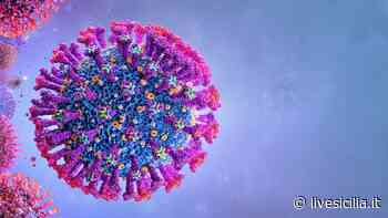 Catania, scoperto il primo caso di variante Omicron - Livesicilia.it