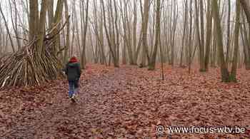 Oostende schenkt bos aan Overijse; oppositie teleurgesteld - Focus en WTV