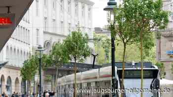 Baumallianz vermisst Bäume im Augsburger Klimaprogramm