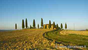 Turismo, effetto Omicron su agriturismo della provincia di Siena. Molte cancellazioni nell'ultima settimana - Siena News