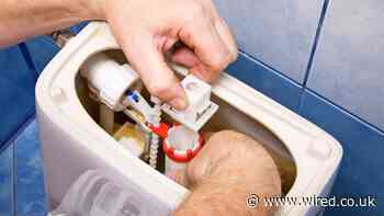 In Celebration of the Internet’s True Angels