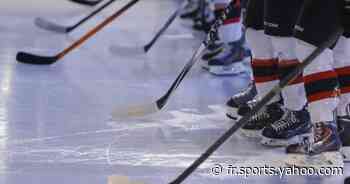 Hockey - L. Magnus - Nice, Grenoble et Angers s'imposent à l'extérieur en Ligue Magnus - Yahoo Sport