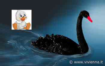 Enna, Crisi politica: dal “brutto anatroccolo” al “cigno nero” - Vivi Enna